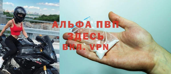 стафф Аркадак