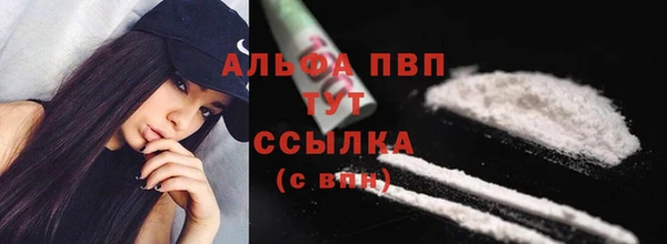 стафф Аркадак
