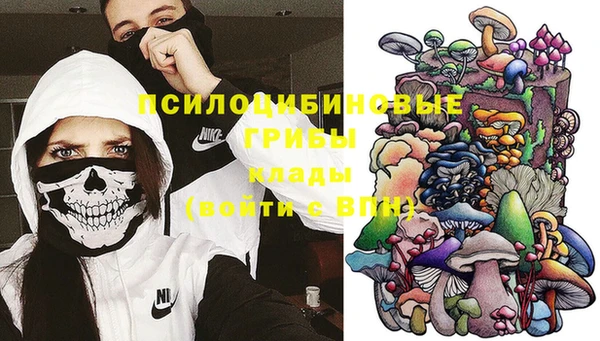 ГАЛЛЮЦИНОГЕННЫЕ ГРИБЫ Арсеньев