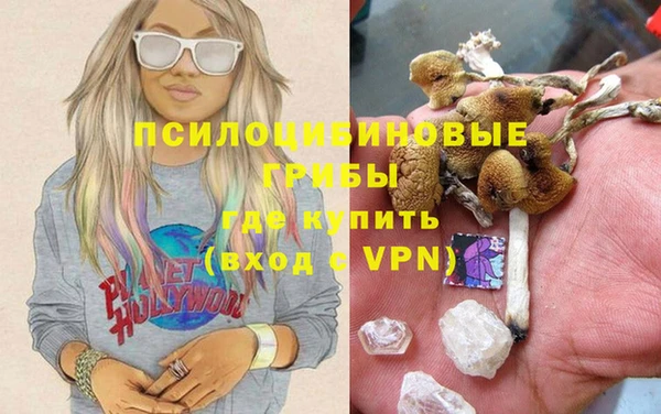 ГАЛЛЮЦИНОГЕННЫЕ ГРИБЫ Арсеньев