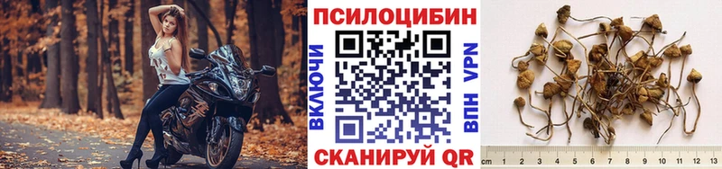 Галлюциногенные грибы прущие грибы  Урай 